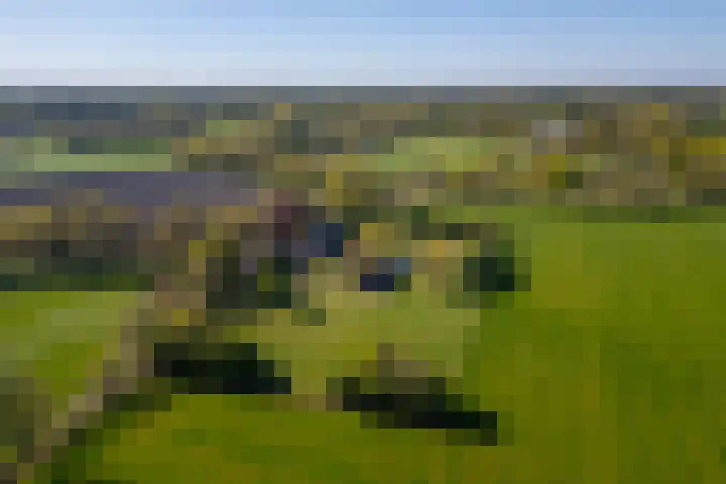 Beuzelshoek 8 Laren thumbnail 106