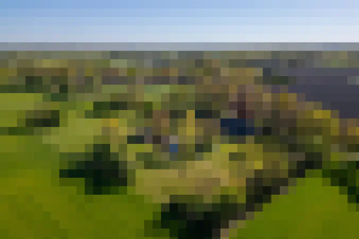 Beuzelshoek 8 Laren thumbnail 107