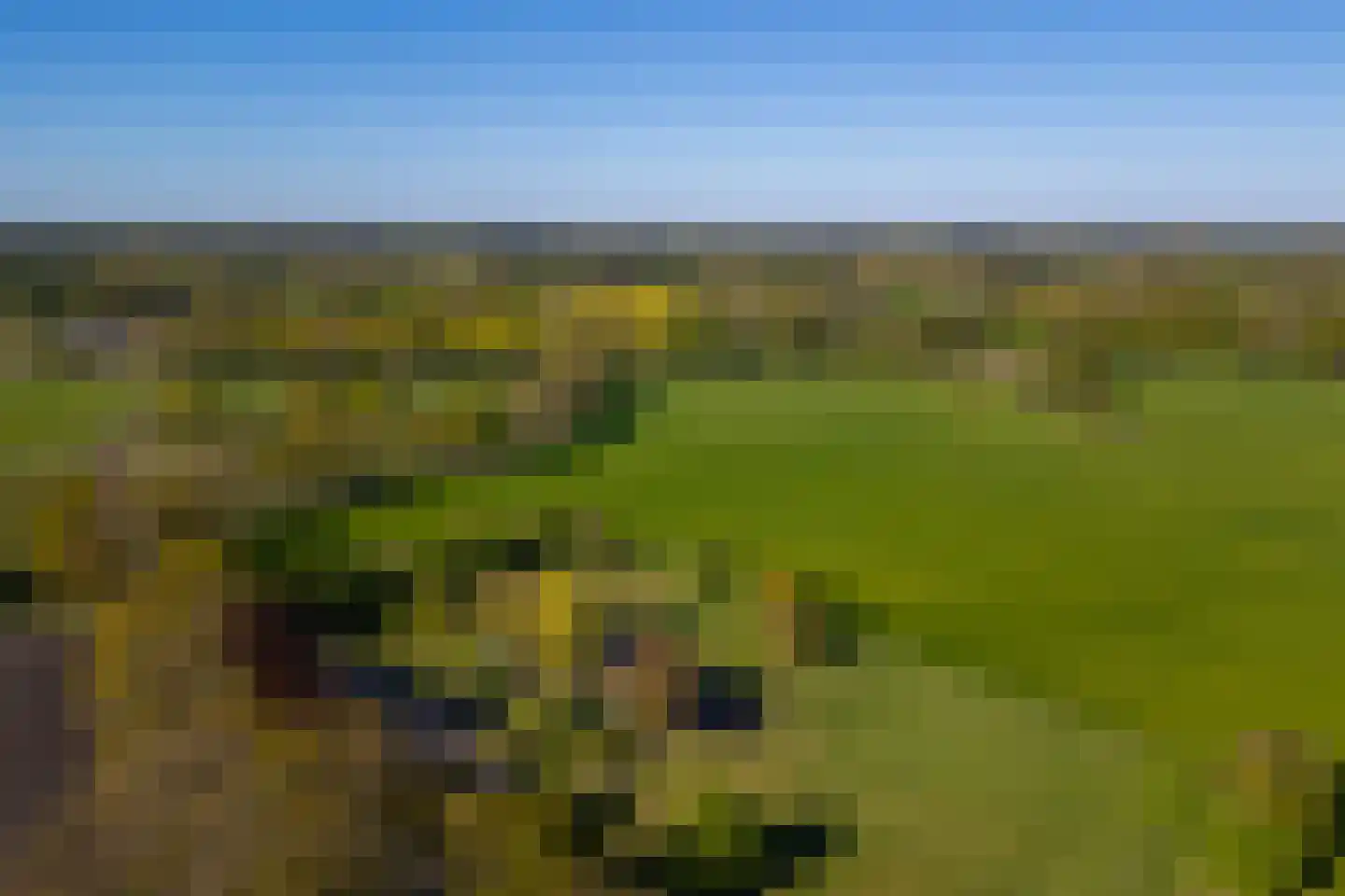 Beuzelshoek 8 Laren thumbnail 108