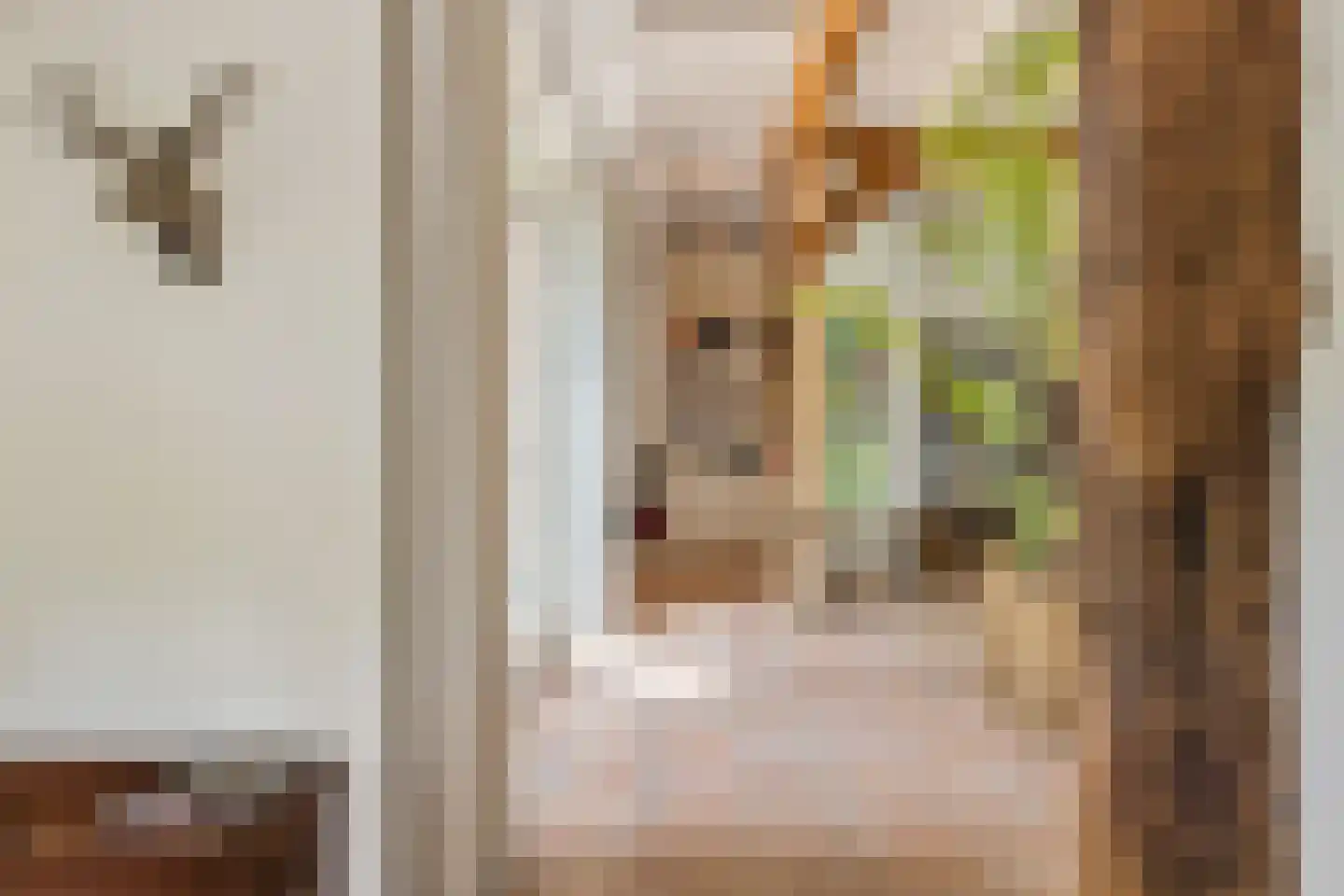Beuzelshoek 8 Laren thumbnail 18