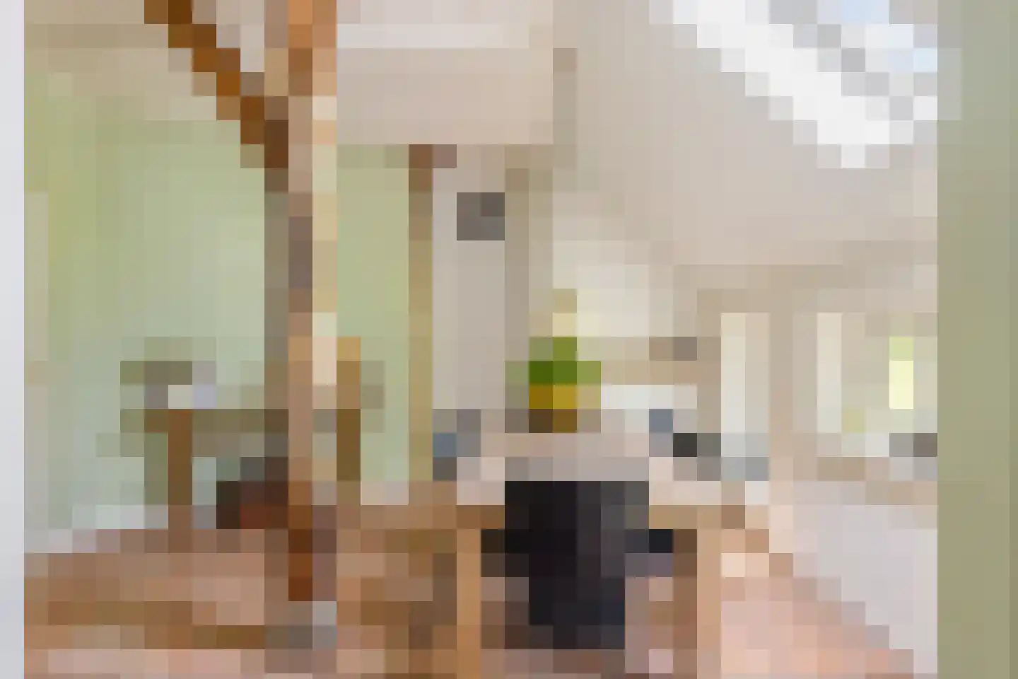 Beuzelshoek 8 Laren thumbnail 30