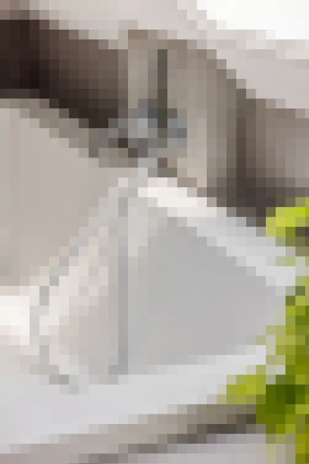 Beuzelshoek 8 Laren thumbnail 69