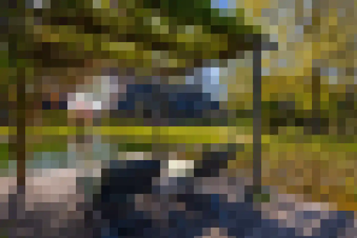 Beuzelshoek 8 Laren thumbnail 75