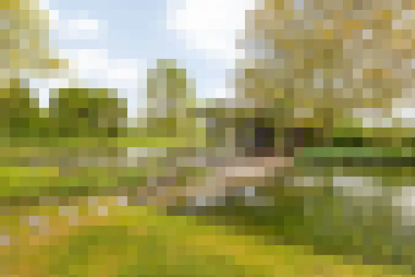 Beuzelshoek 8 Laren thumbnail 76