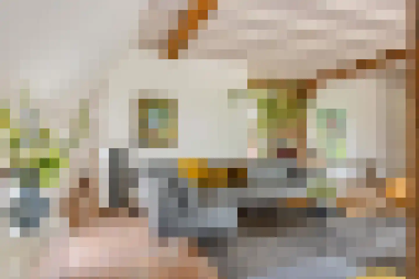 Beuzelshoek 8 Laren thumbnail 9