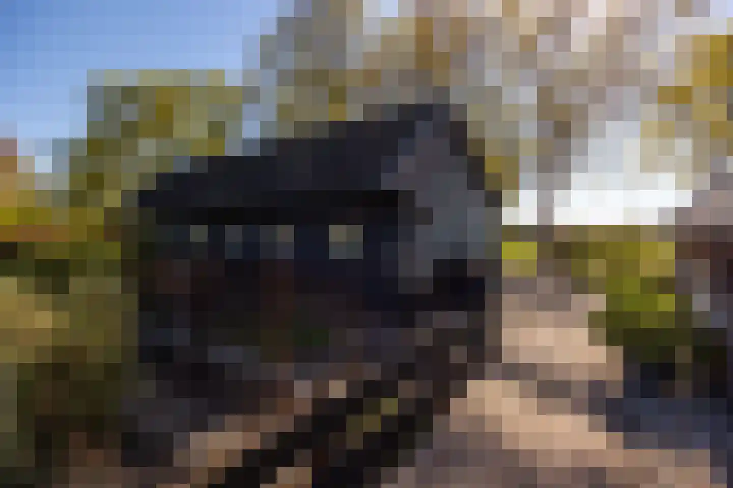 Beuzelshoek 8 Laren thumbnail 90