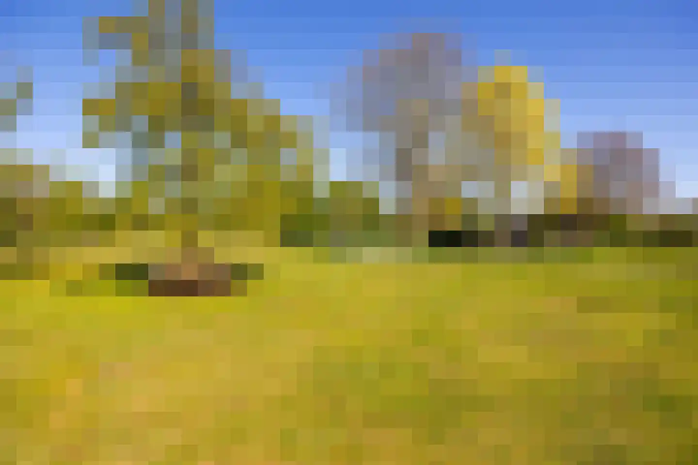 Beuzelshoek 8 Laren thumbnail 95