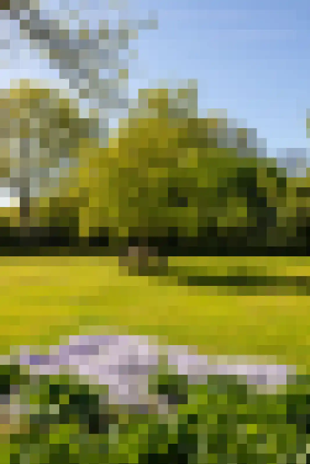 Beuzelshoek 8 Laren thumbnail 97