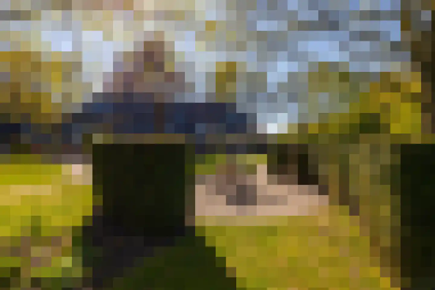 Beuzelshoek 8 Laren thumbnail 99