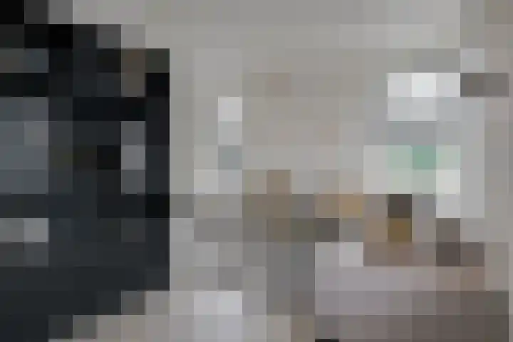 Beuzenes 1 Winterswijk thumbnail 11