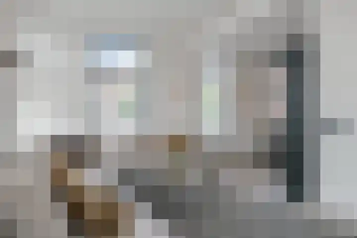 Beuzenes 1 Winterswijk thumbnail 12
