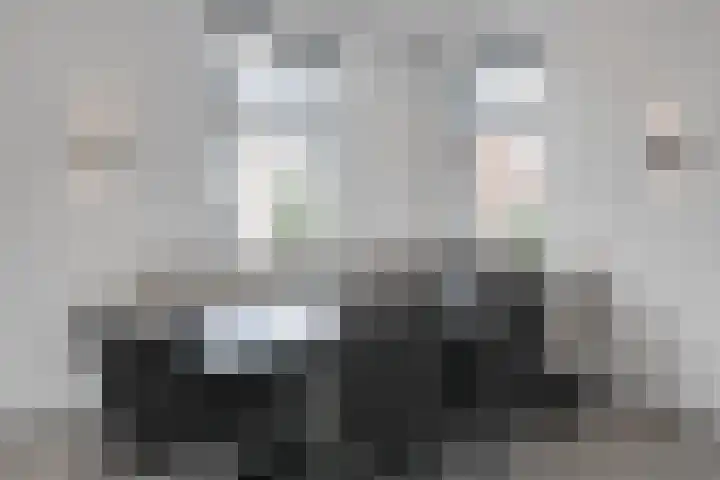 Beuzenes 1 Winterswijk thumbnail 13