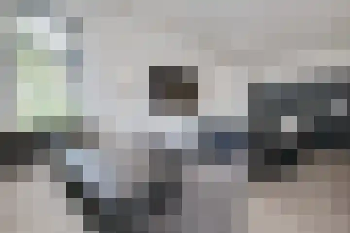 Beuzenes 1 Winterswijk thumbnail 15