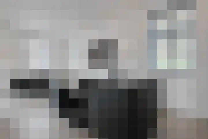 Beuzenes 1 Winterswijk thumbnail 17