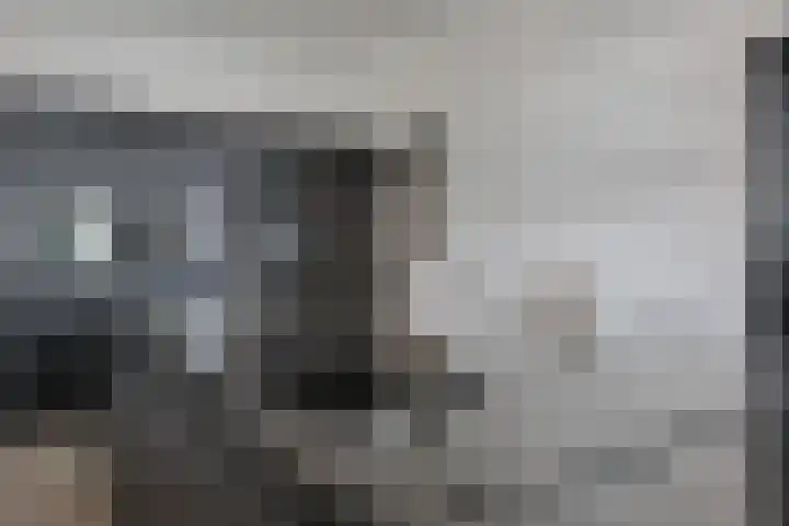 Beuzenes 1 Winterswijk thumbnail 19