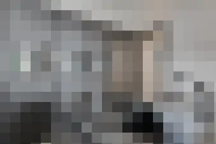 Beuzenes 1 Winterswijk thumbnail 20