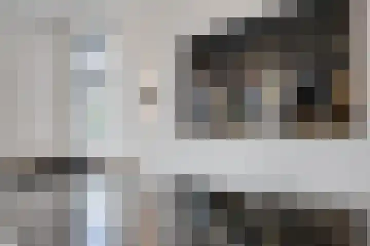 Beuzenes 1 Winterswijk thumbnail 24