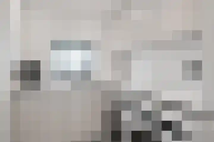 Beuzenes 1 Winterswijk thumbnail 26