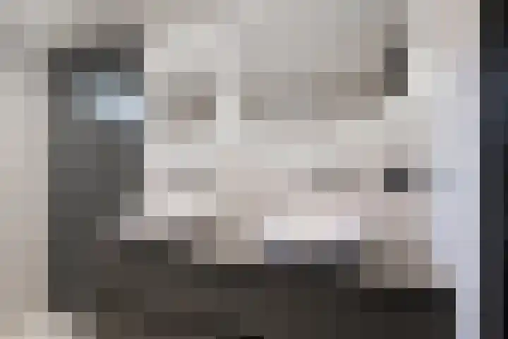 Beuzenes 1 Winterswijk thumbnail 30