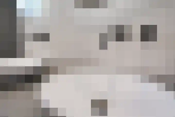 Beuzenes 1 Winterswijk thumbnail 31