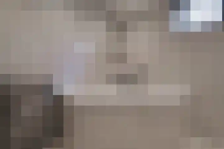 Beuzenes 1 Winterswijk thumbnail 32