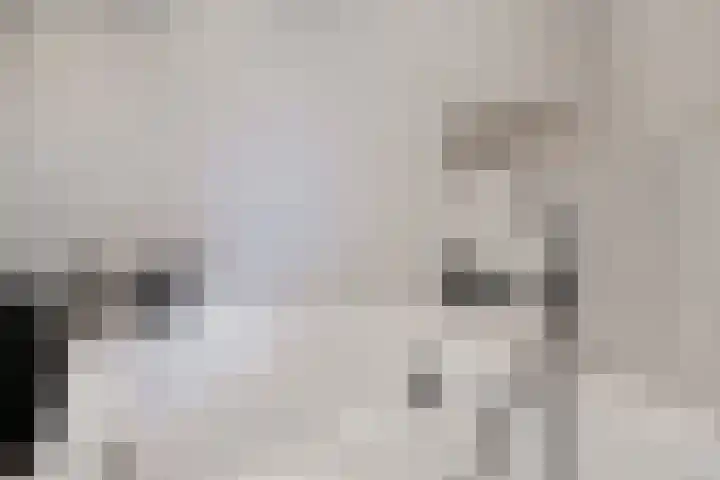 Beuzenes 1 Winterswijk thumbnail 33