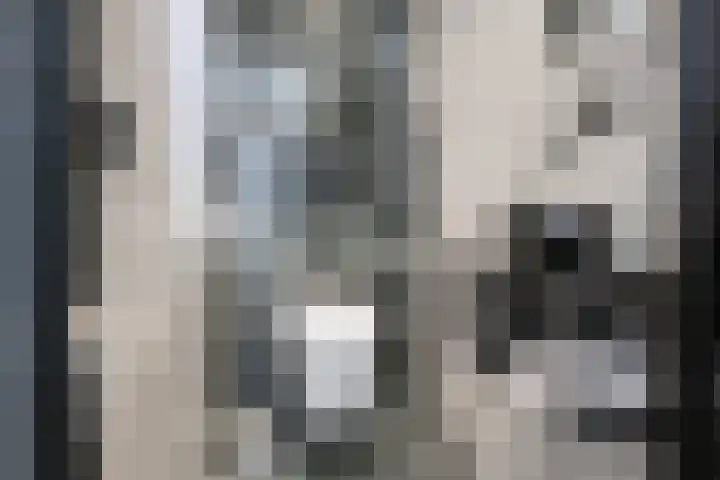Beuzenes 1 Winterswijk thumbnail 35
