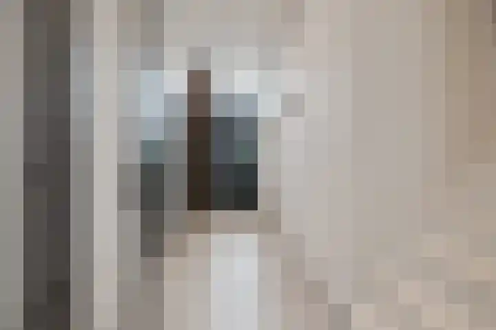 Beuzenes 1 Winterswijk thumbnail 39