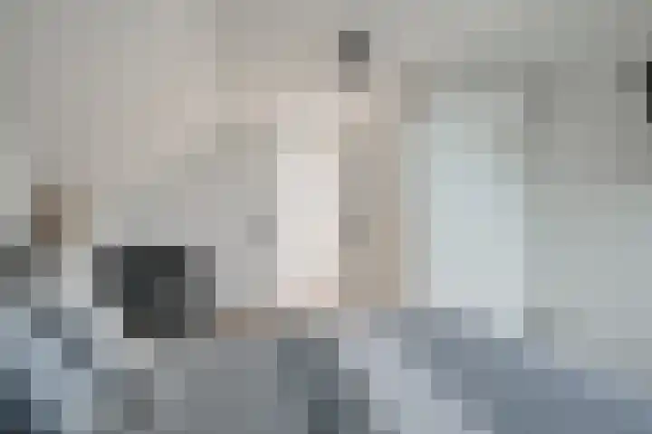 Beuzenes 1 Winterswijk thumbnail 47