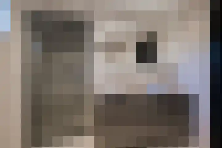 Beuzenes 1 Winterswijk thumbnail 5