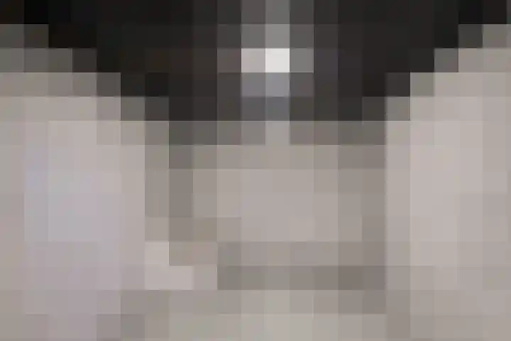 Beuzenes 1 Winterswijk thumbnail 50