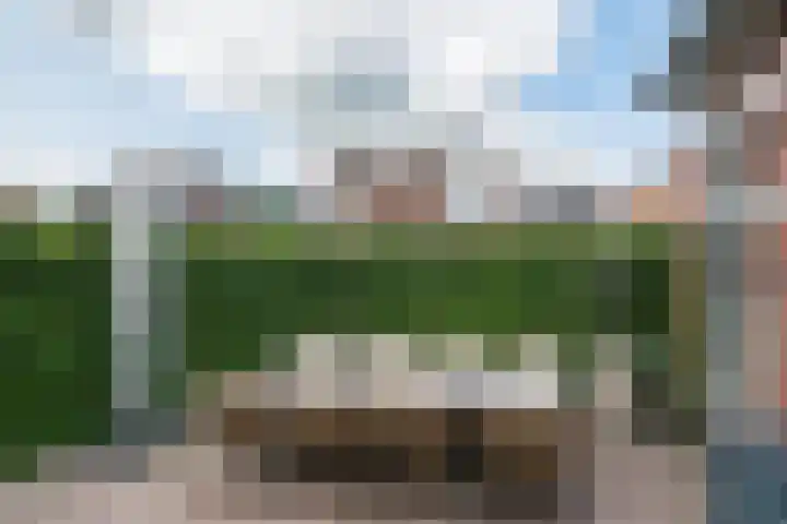 Beuzenes 1 Winterswijk thumbnail 52