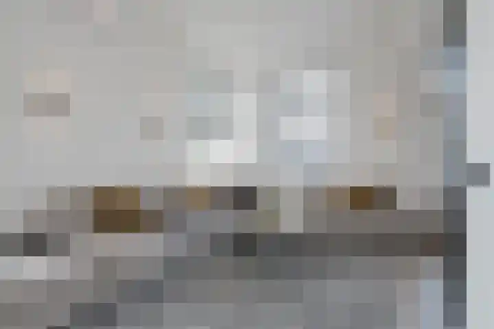 Beuzenes 1 Winterswijk thumbnail 9