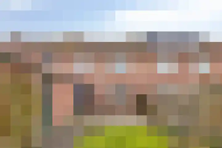 Beuzenes 65 Winterswijk thumbnail 36