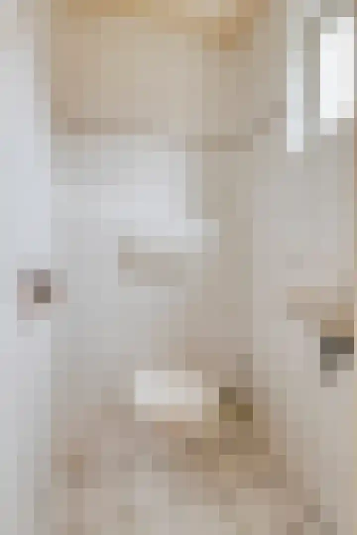 Beuzenes 65 Winterswijk thumbnail 6
