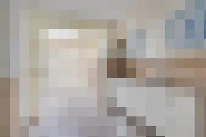 Beuzenes 77 Winterswijk thumbnail 11