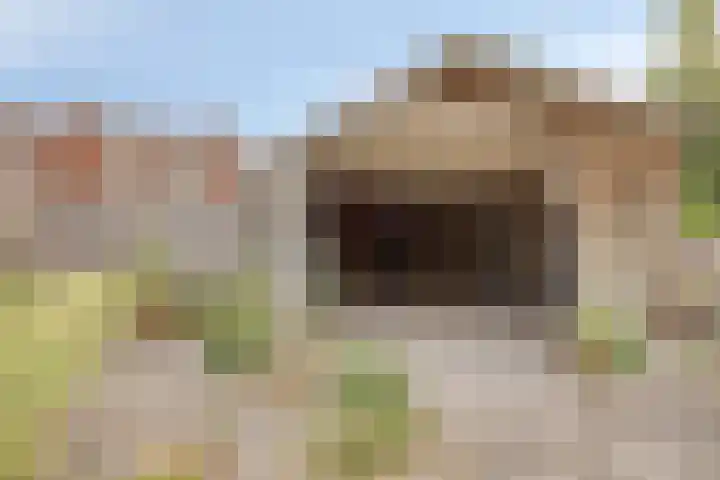 Beuzenes 77 Winterswijk thumbnail 30