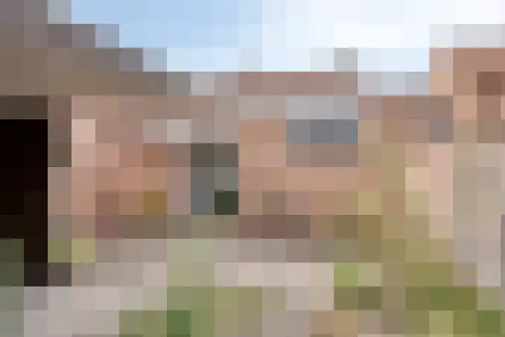 Beuzenes 77 Winterswijk thumbnail 31