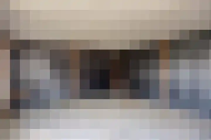 Beuzenes 77 Winterswijk thumbnail 32