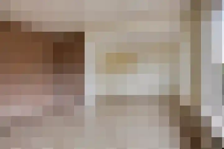 Beuzenes 77 Winterswijk thumbnail 9
