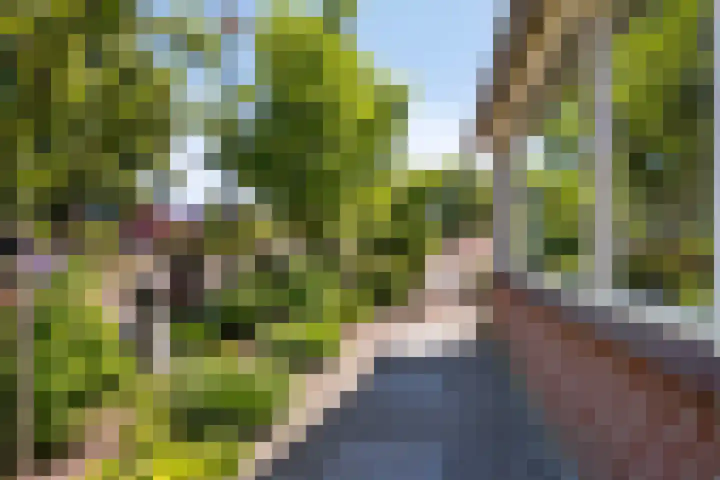 Beuzenes 78 Winterswijk thumbnail 30