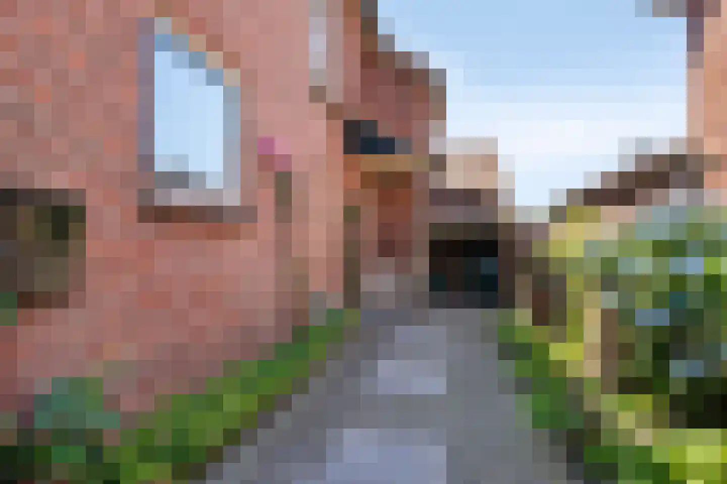 Beuzenes 78 Winterswijk thumbnail 4