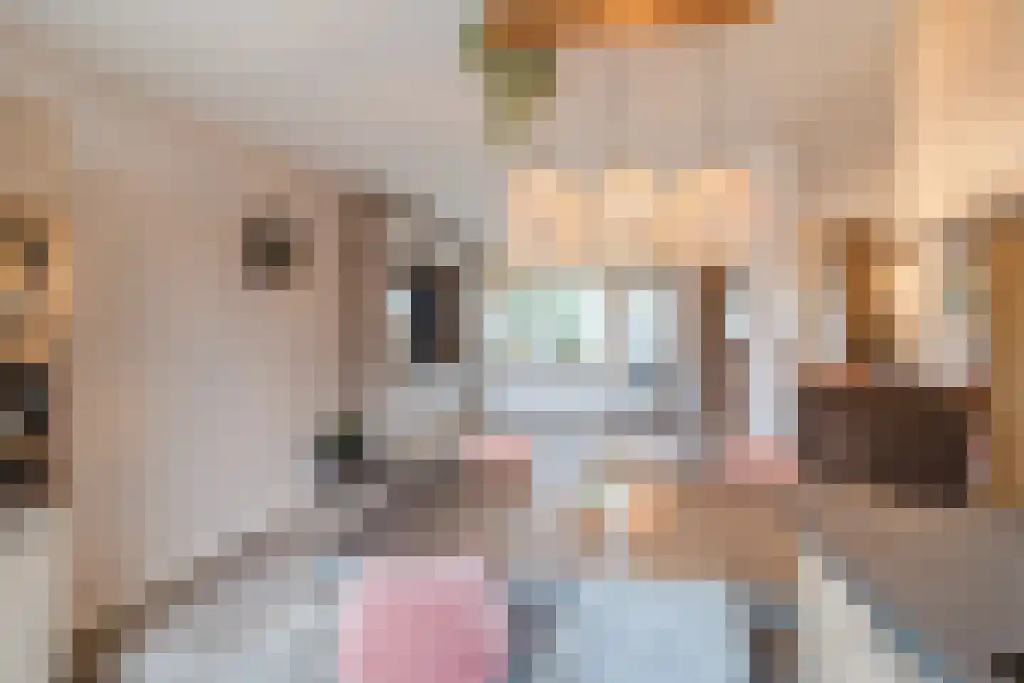 Beveland 1 Zoetermeer thumbnail 13