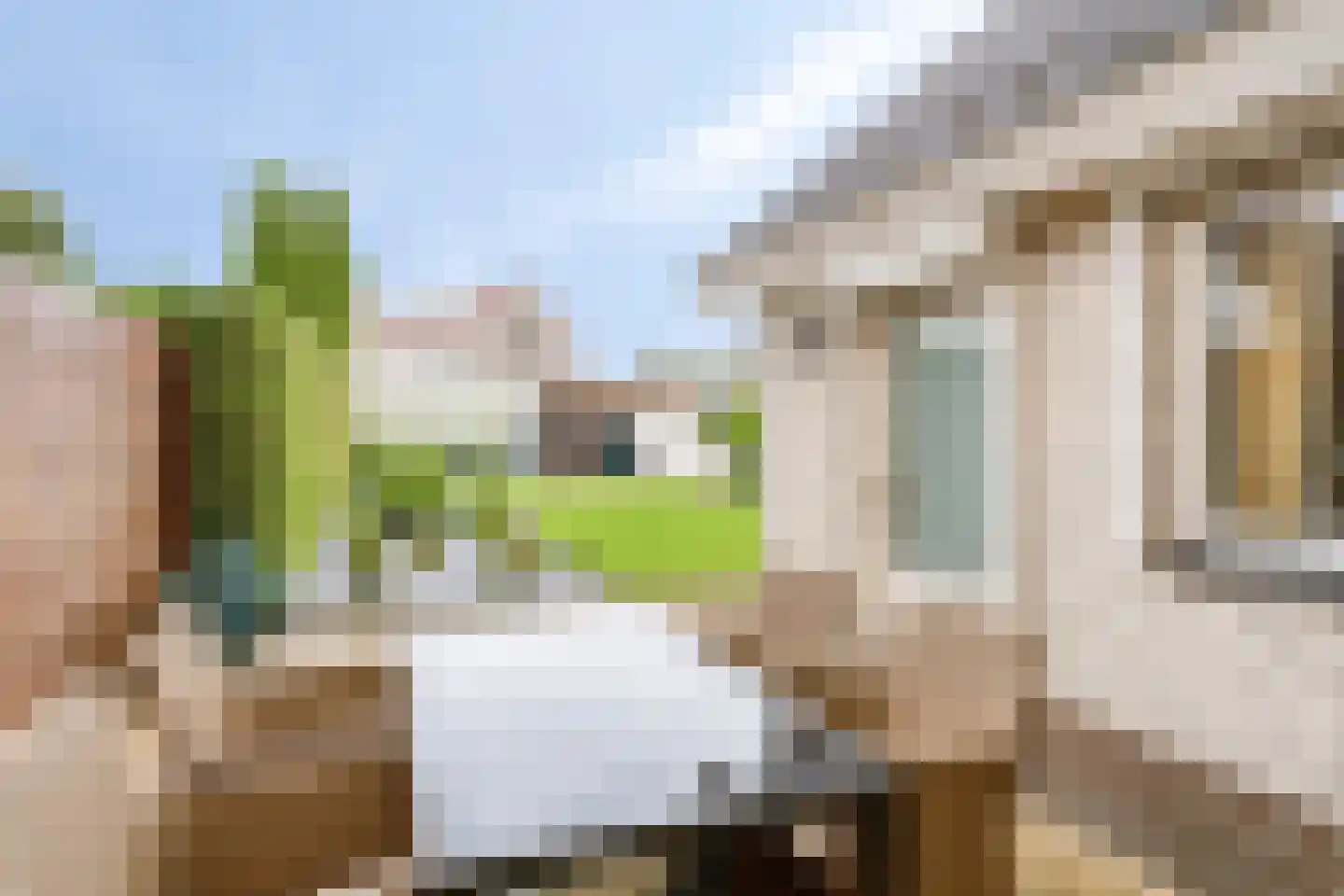 Beveland 11 Emmeloord thumbnail 39