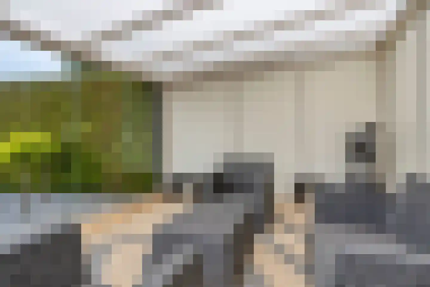 Beveland 11 Emmeloord thumbnail 42
