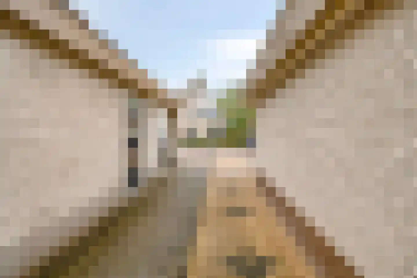 Beveland 11 Emmeloord thumbnail 6