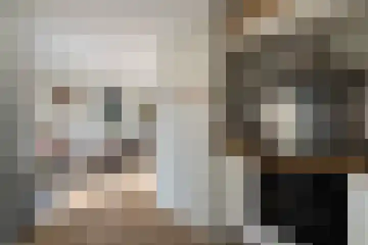 Beveland 3 Emmeloord thumbnail 22