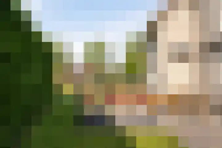 Beveland 3 Emmeloord thumbnail 38