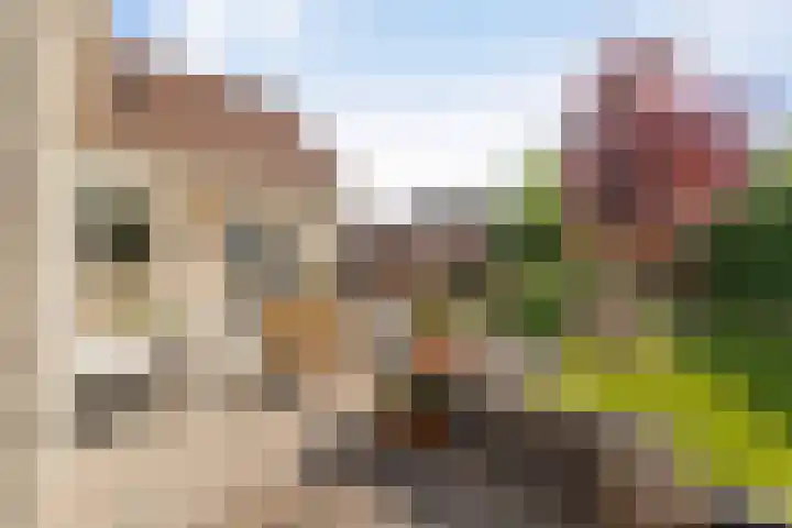 Beveland 3 Emmeloord thumbnail 41