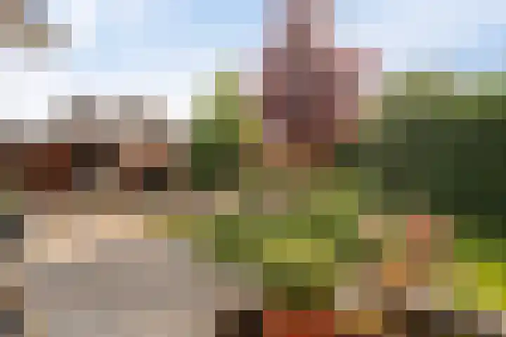 Beveland 3 Emmeloord thumbnail 42